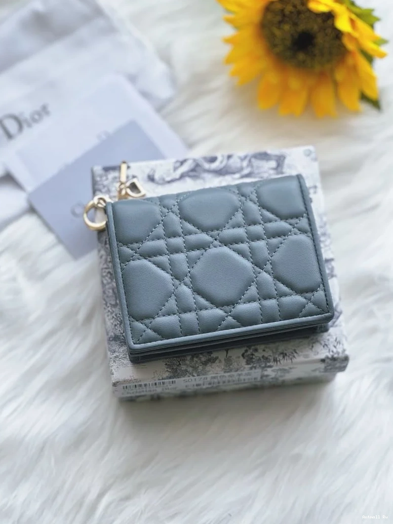 Dior Purse Wallets 46710 WeatherProof Christian 0725